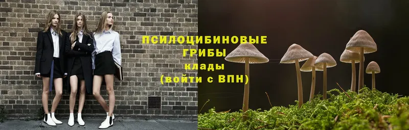 Галлюциногенные грибы MAGIC MUSHROOMS  Амурск 